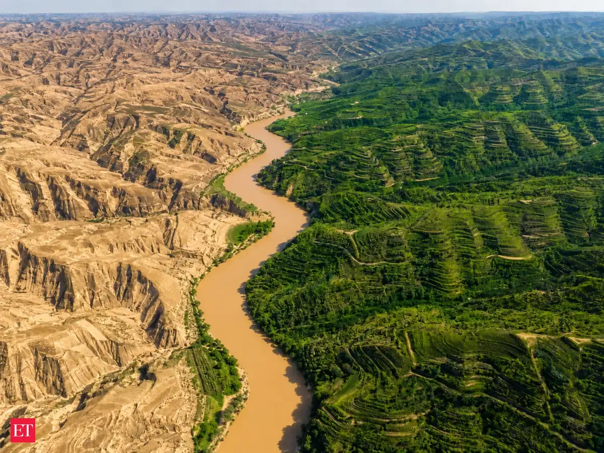 In the 1990s, China began regreening one of Earth's most eroded landscapes; more than 100 million tons of soil stopped entering the Yellow River each year