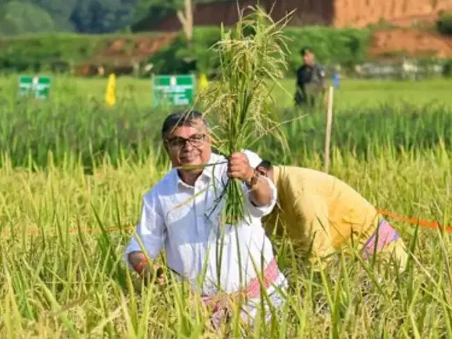 Indian crop insurers are asking the government for regulatory data protection