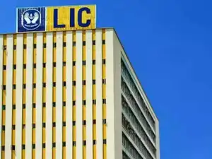 LIC portfolio