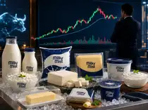 Milky Mist Dairy Food shares slip 4% after sharp post-listing rally<br>