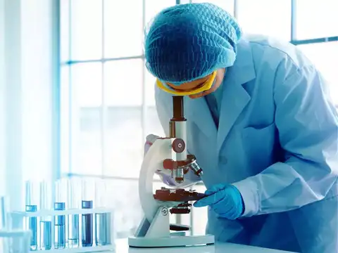 More than 1,100 melanoma patients studied