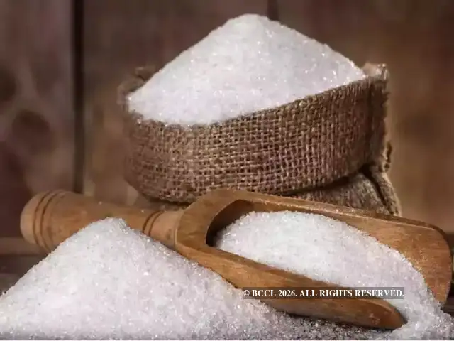 ​Bajaj Hindusthan Sugar