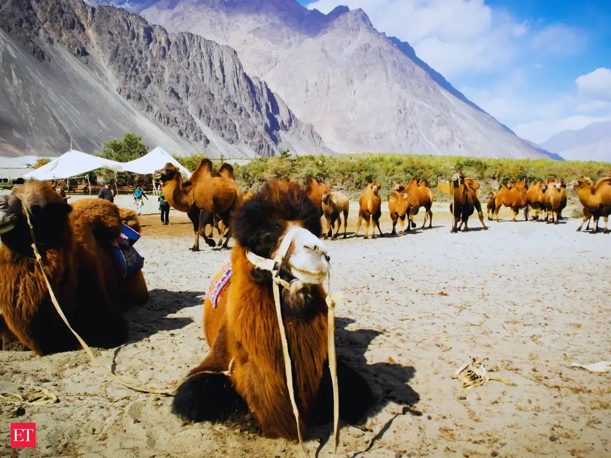 Nubra Civil Airport terminal likely to open by December