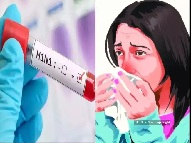 Delhi swine flu cases<br>