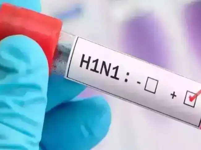 The Indian Council of Medical Research confirms no new H1N1 influenza strain exists