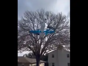 Amazon delivery Texas