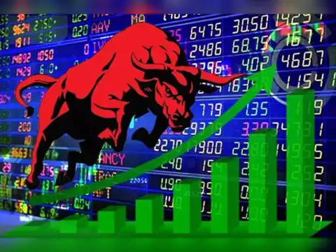 The Bull Case