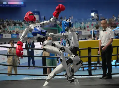 Robots compete at the Free Combat event