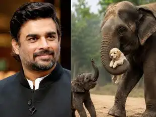 Actor R Madhavan shares video of baby elephant getting ‘jealous’ after seeing its mother carry a puppy. What the calf does next is too cute