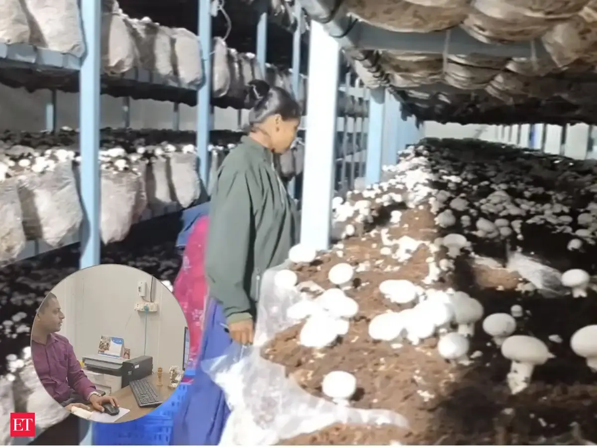 Techie turned mushroom farmer earns Rs 10 lakh a month after quitting 14-year IT career, gets almost Rs 1 crore govt help