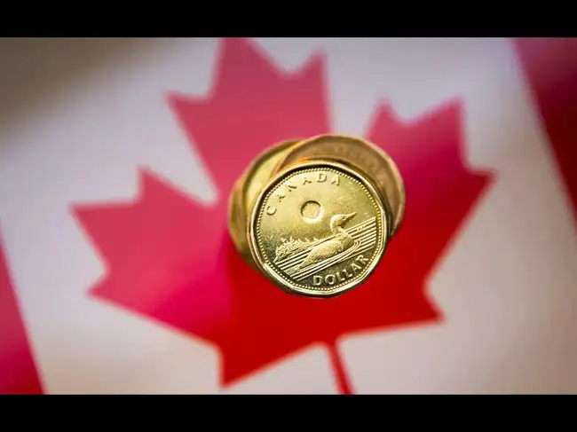 Canada Pension Plan (CPP) and Old Age Security (OAS) payments <br>