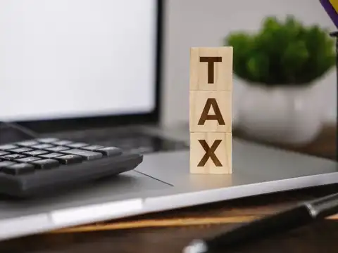 Old tax regime only: Check before you file