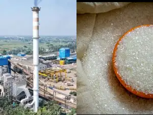 Indian sugar mills and refiners are likely to import only about half of the 1 million metric tonnes of duty-free raw sugar allowed by the government, as falling domestic prices make imports less profitable, industry officials said.<br>