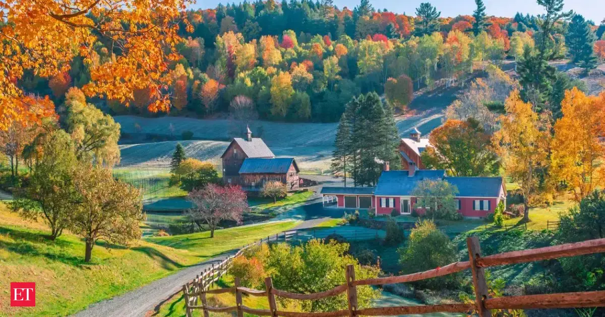 In 1959, Vermont bought Snake Mountain land but not the timber rights. Seven decades later, the state wants to reunite them