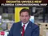 'No more racial gerrymandering!': DeSantis touts new Florida congressional map ahead of midterms