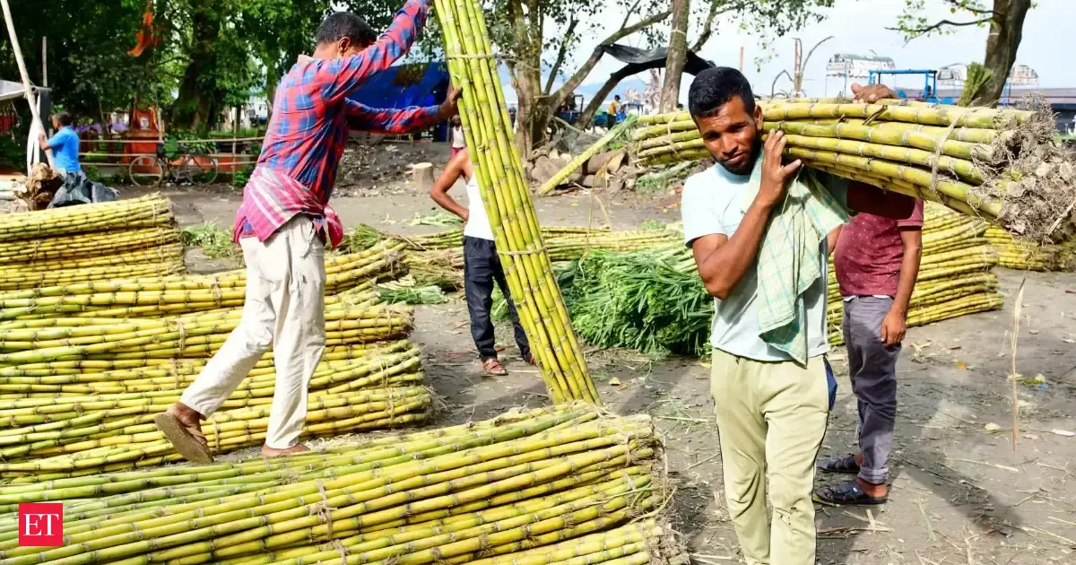Retailers, quick commerce companies limit sugar rush amid stock pain