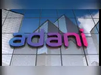 Adani’s Cemindia is said to near up to $524 million share sale<br>