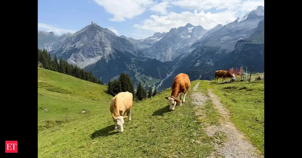 In 2025, research study warns 76 per cent of current glacier mass would vanish bringing catastrophe to Himalayas, European Alps, Rockies of the US, Canada, and other parts of world but one country may not feel direct impact. Here's why