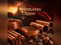 Hindustan Copper shares fall 3%, multibagger stock drops 6% in 3 days as OFS concludes. What lies ahead?<br>