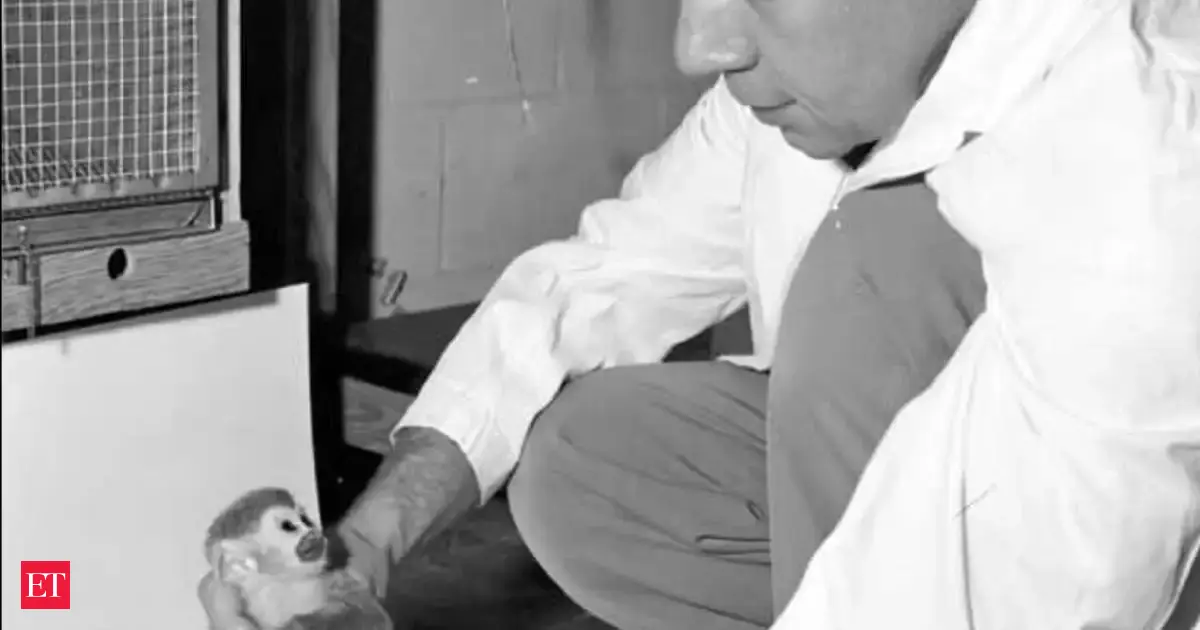 In 1958, the US launched Gordo the squirrel monkey 300 miles above Earth; he endured 8.3 minutes of weightlessness and 40 g during re-entry, but died after his capsule sank at sea