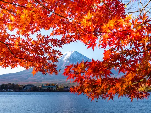 Japan