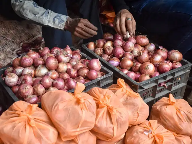 Centre starts selling onion at a discounted price