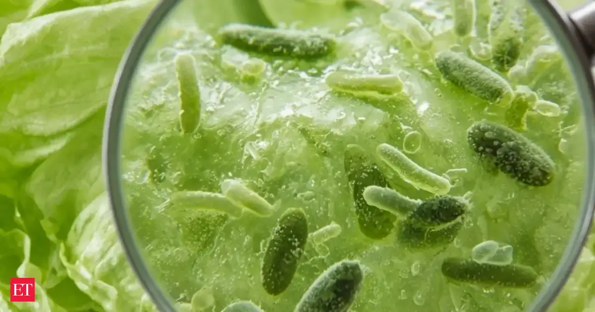 Cyclosporiasis: Think your salad is harmless? Parasite outbreak spreads across Michigan, Pennsylvania, Texas, Ohio, Massachusetts &amp; 15 more states; FDA issues warning