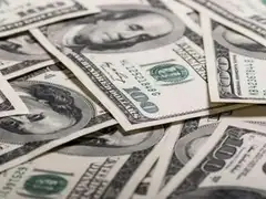 At $729b, Forex Kitty Hits a Record