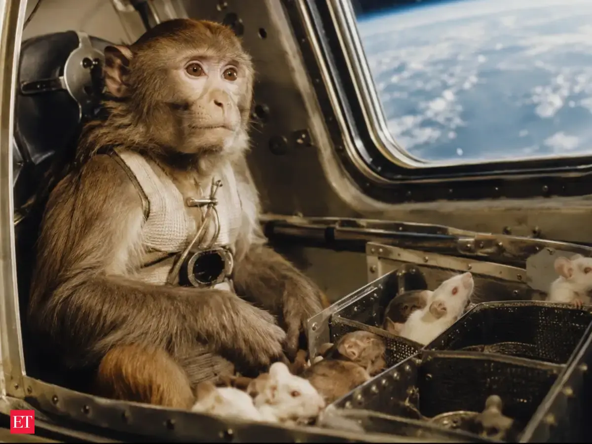 In 1951, Yorick the monkey and 11 mice rode an Aerobee rocket to 236,000 feet; the flight showed animals could survive launch and landing, though Yorick died after touchdown