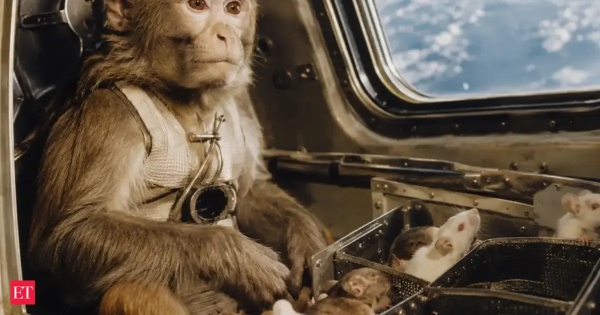 In 1951, Yorick the monkey and 11 mice rode an Aerobee rocket to 236,000 feet; the flight showed animals could survive l