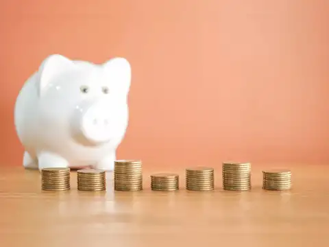 Franklin India Large Cap Fund 