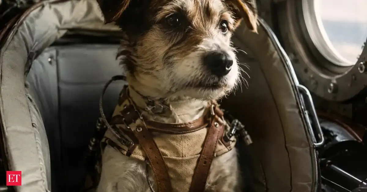 In 1951, Soviet space dog Bobik escaped before launch; scientists found a stray near the canteen, named her ZIB, and sent her 100 km up before a safe return