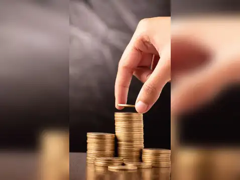 Franklin India Mid Cap Fund 