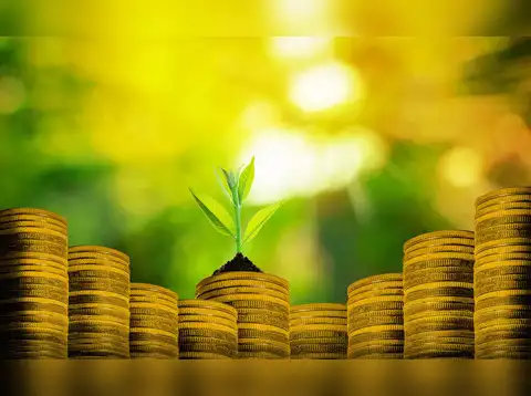 Two international funds
