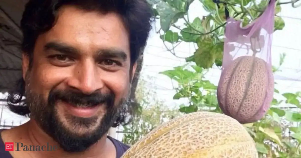 Madhavan Grows Muskmelon Ladys Finger Broccoli And Tomatoes In His Balcony Actor Shares 7 Steps To Grow Organic Vegetables At Home