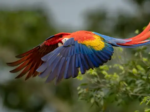 Costa Rica
