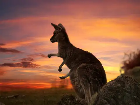 Australia