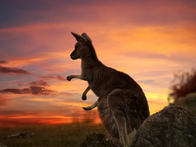 Australia