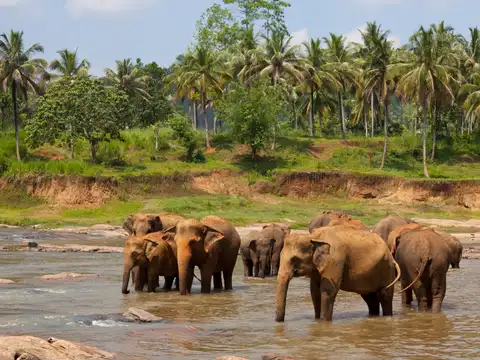 Sri Lanka
