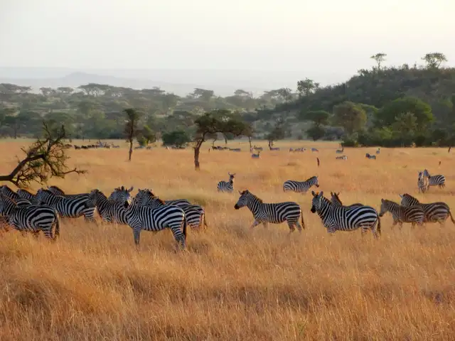 Kenya