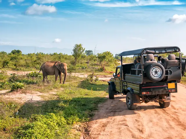 7 countries for an unforgettable wildlife holiday