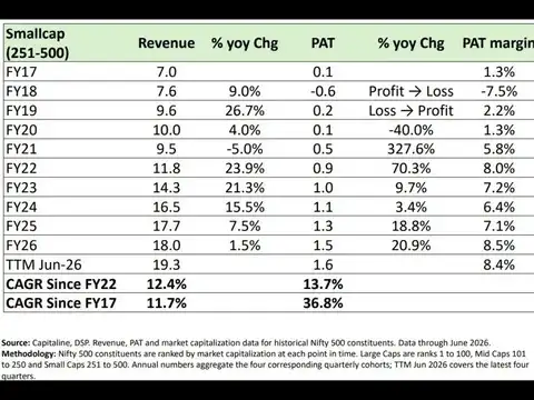 Remove just 2 companies and the "smallcap miracle" shrinks fast