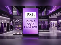 Can Purple Style Labs IPO deliver long-term growth for high-risk investors? <br>