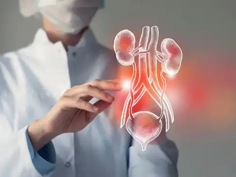 It Supports Your Kidneys While They Are Already Working