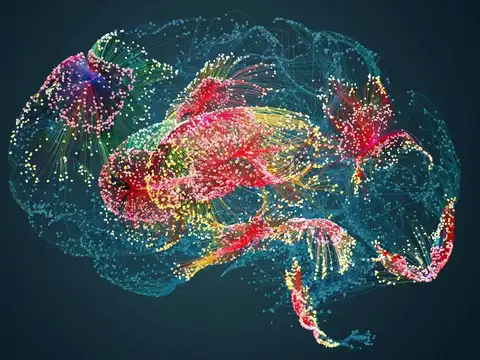 It Gives Your Brain A Head Start