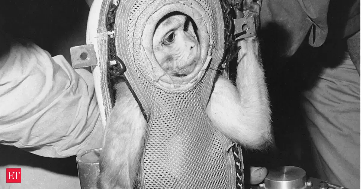 In 1960, NASA launched rhesus monkey Miss Sam to test Mercury's escape system, and she reached 1,800 mph and 9 miles, then returned in overall good condition