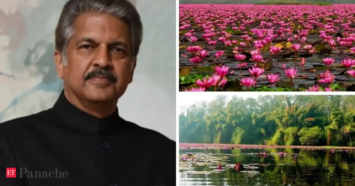 Just 25 km from Indore: Anand Mahindra shares a stunning hidden destination where you get valley, lake and pink blossoms
