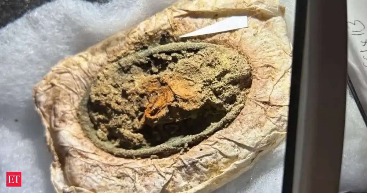 A 1,300-year-old Viking dress just surfaced, offering a 'rare glimpse' into the hidden lives of ancient women.