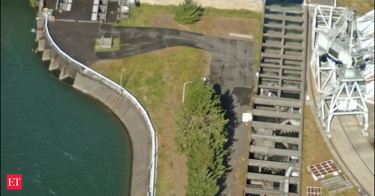 The U S Army Corps Of Engineers Spent 7 Million On Fish Ladders In 1938 To Move Salmon Past Bonneville Dam Decades Later