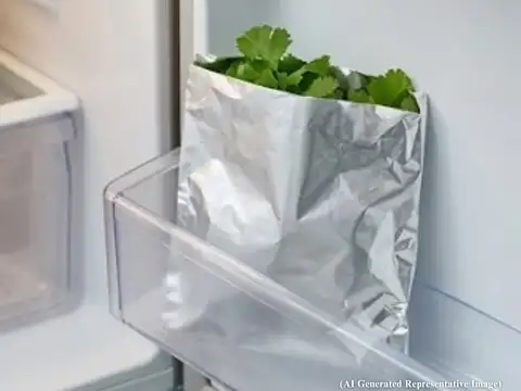 This Works For Other Herbs Too